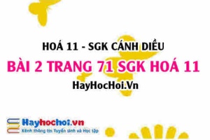 Bài 2 trang 71 SGK Hoá 11 Cánh diều